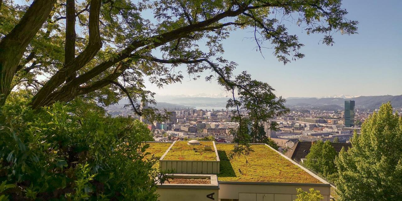 Helvetia 2 Zimmer Apartment Mit Parkplatz Zurich Ngoại thất bức ảnh